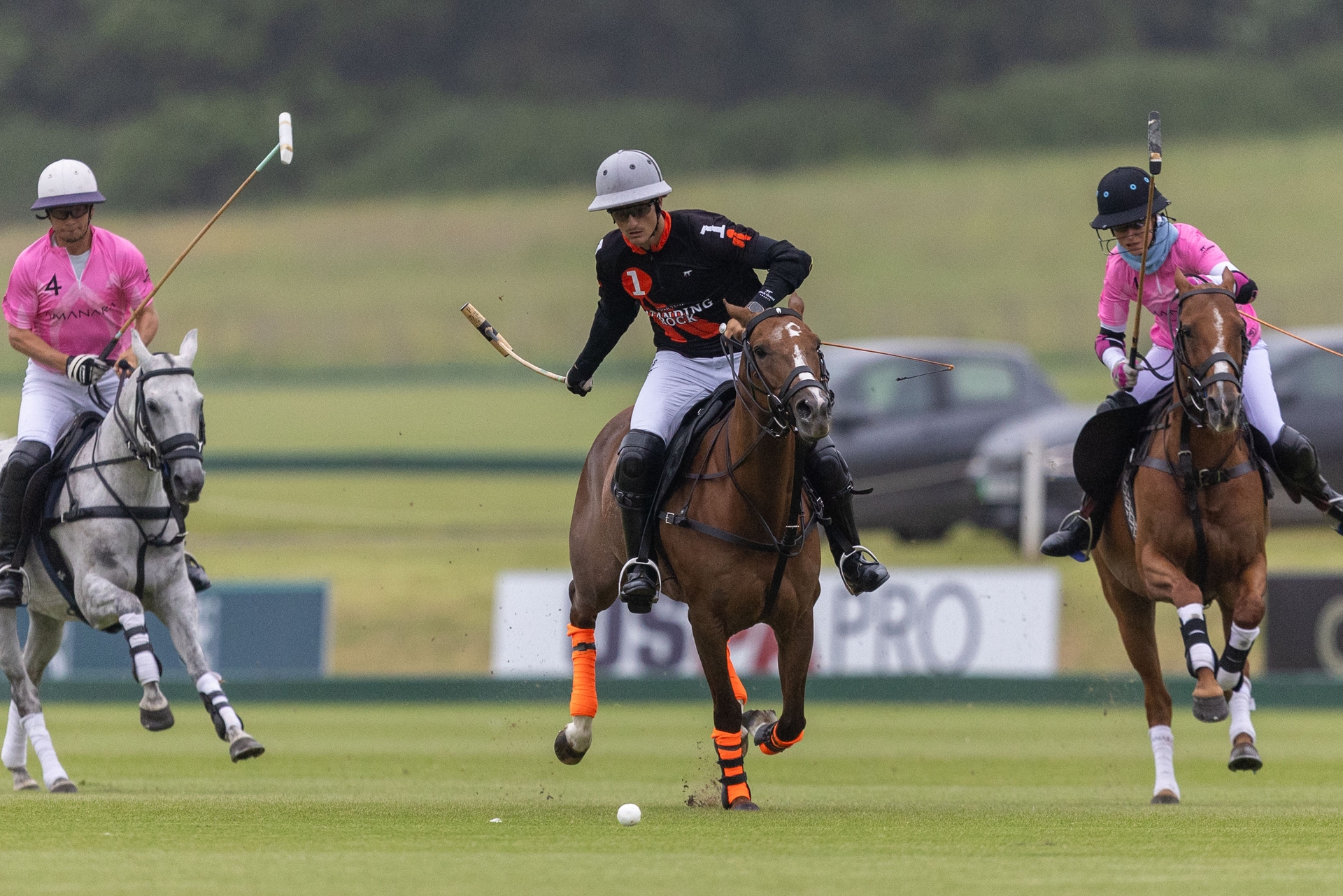 Alternative Text missing