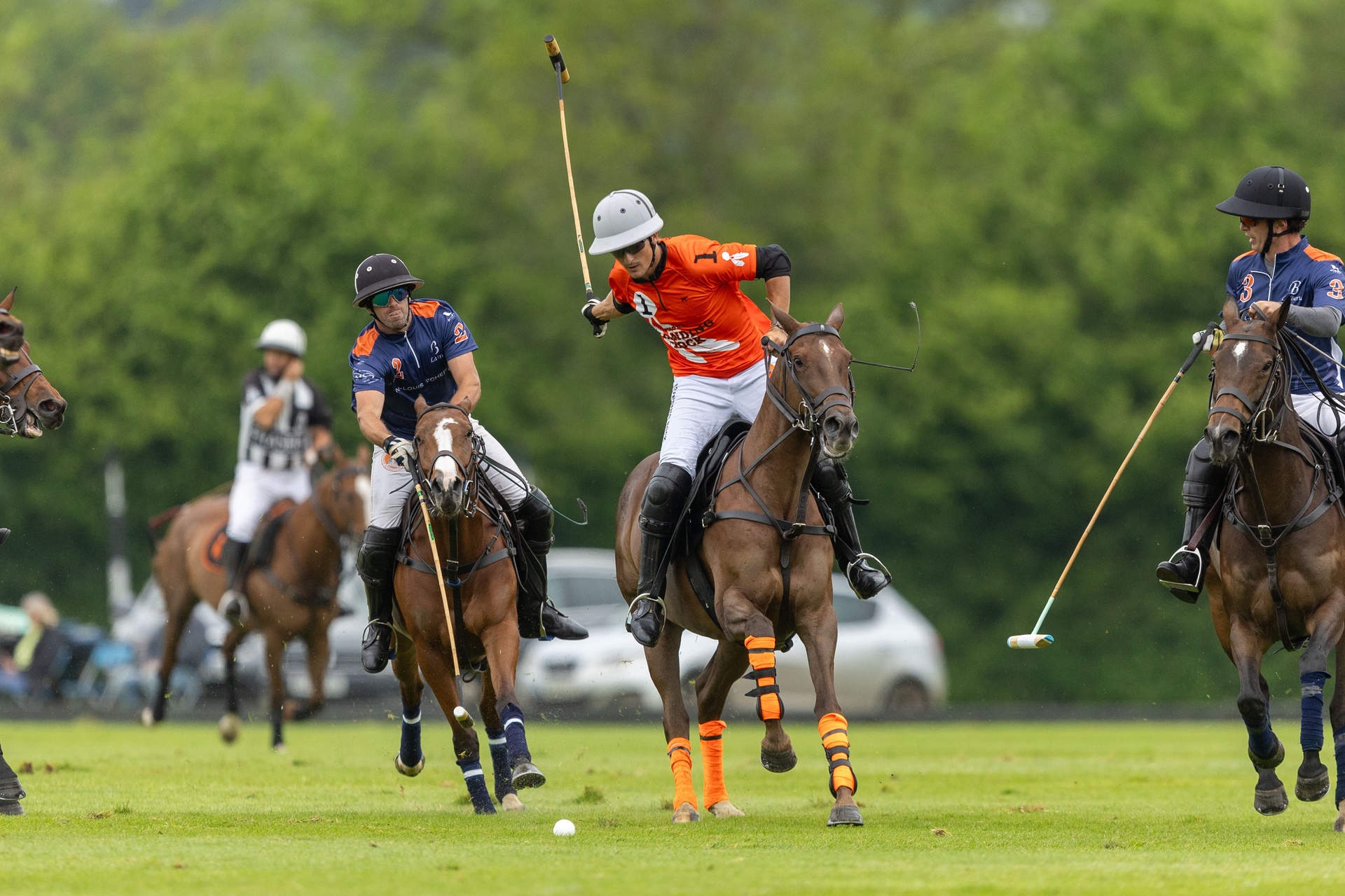 Alternative Text missing